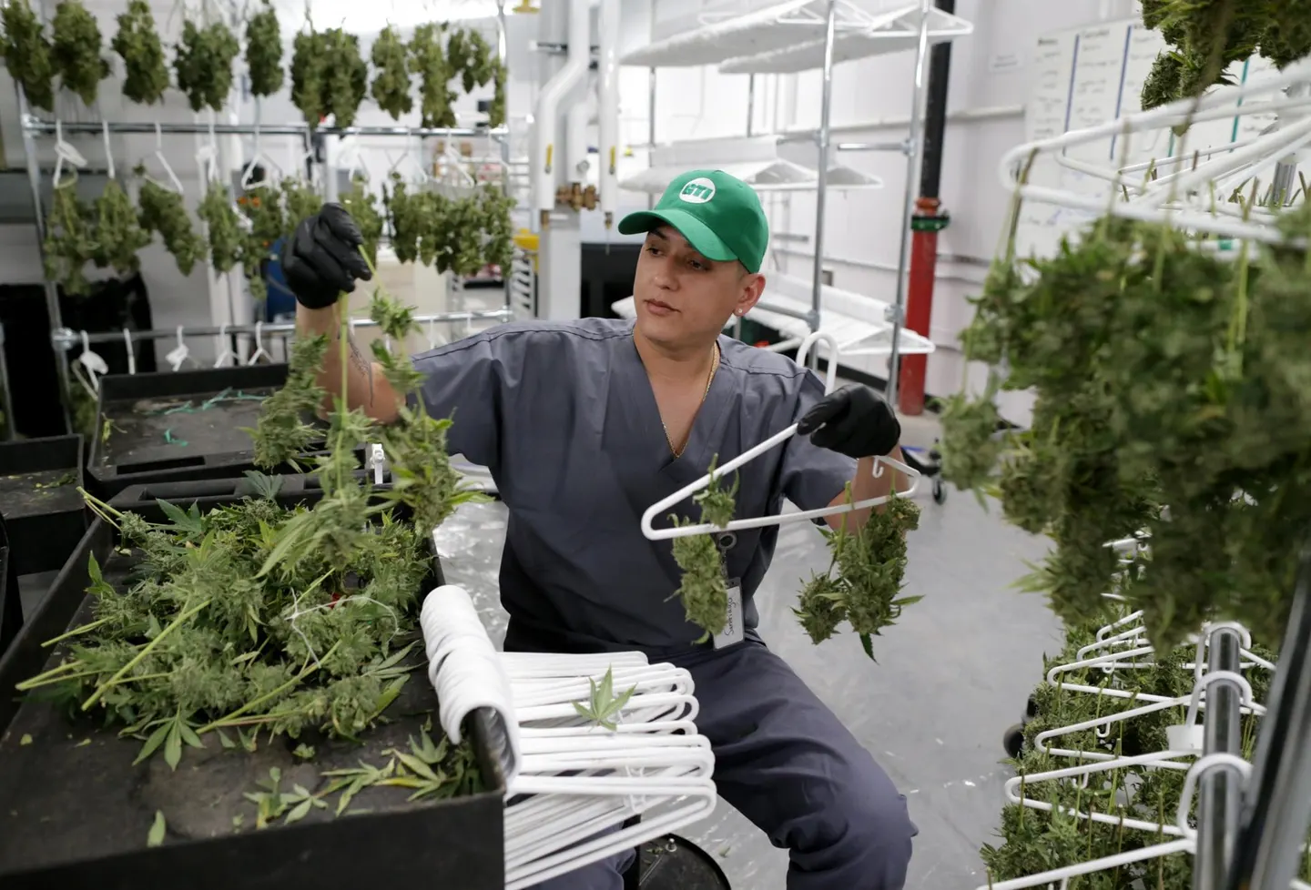 buy weed online greece buy weed online greece