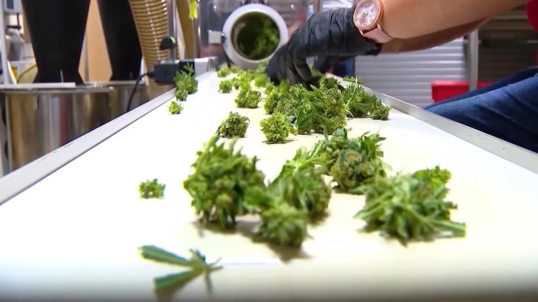 buy weed online greece buy weed online greece